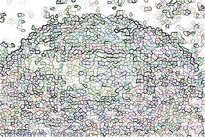 Cellular membrane: tessellations and tautologies, (clicking image will take you to the artist's theory site principlesofnature.com)