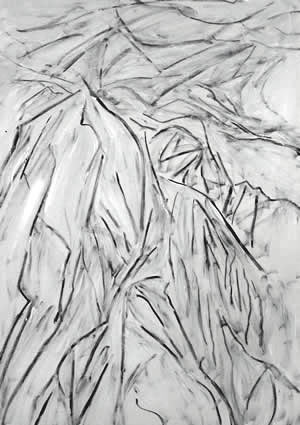 Mountains drawing, Wayne Roberts